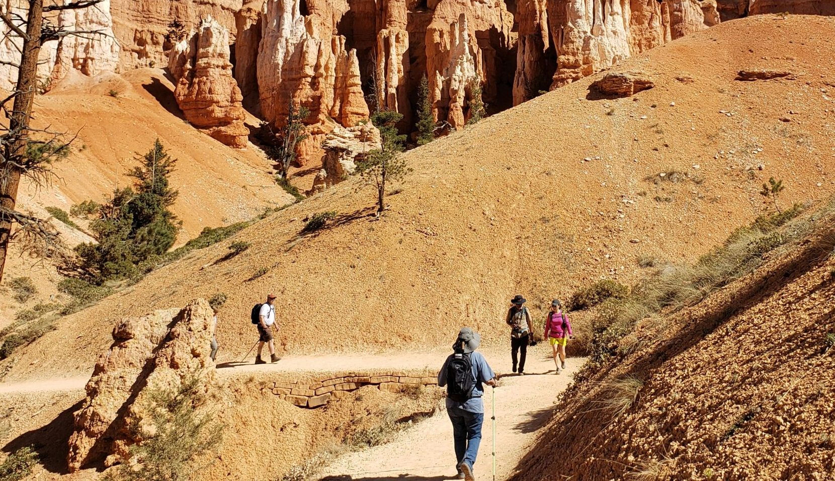 Along the Queen' Garden trail at Bryce Canyon NP