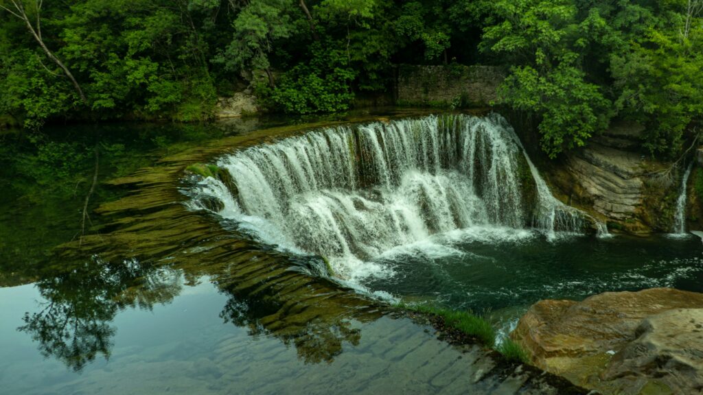 waterfall amid trees