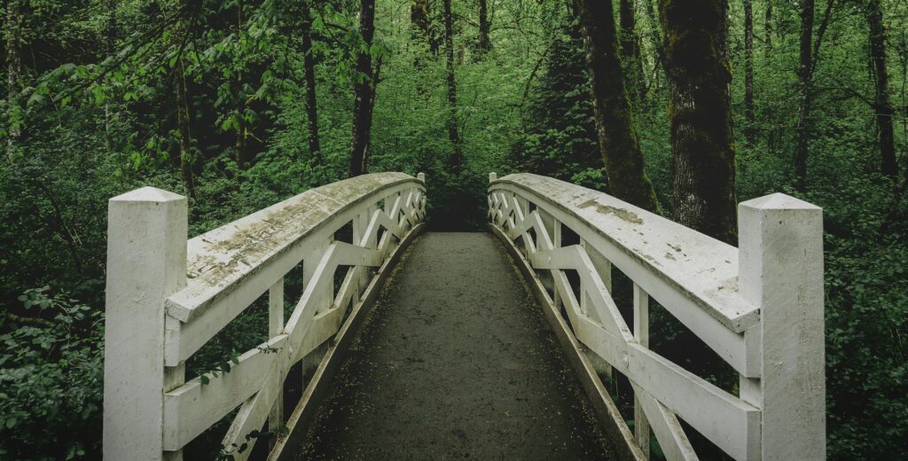 Bridge along the trail in the forest