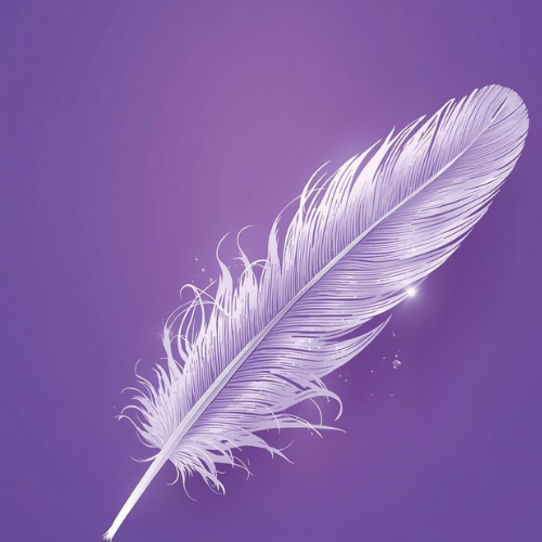 white feather on purple background
