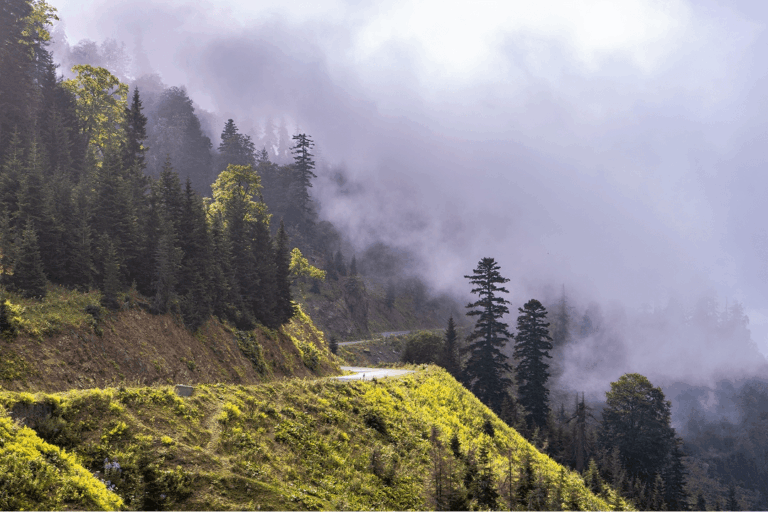 Chasing Fog – A Morning in the Highlands
